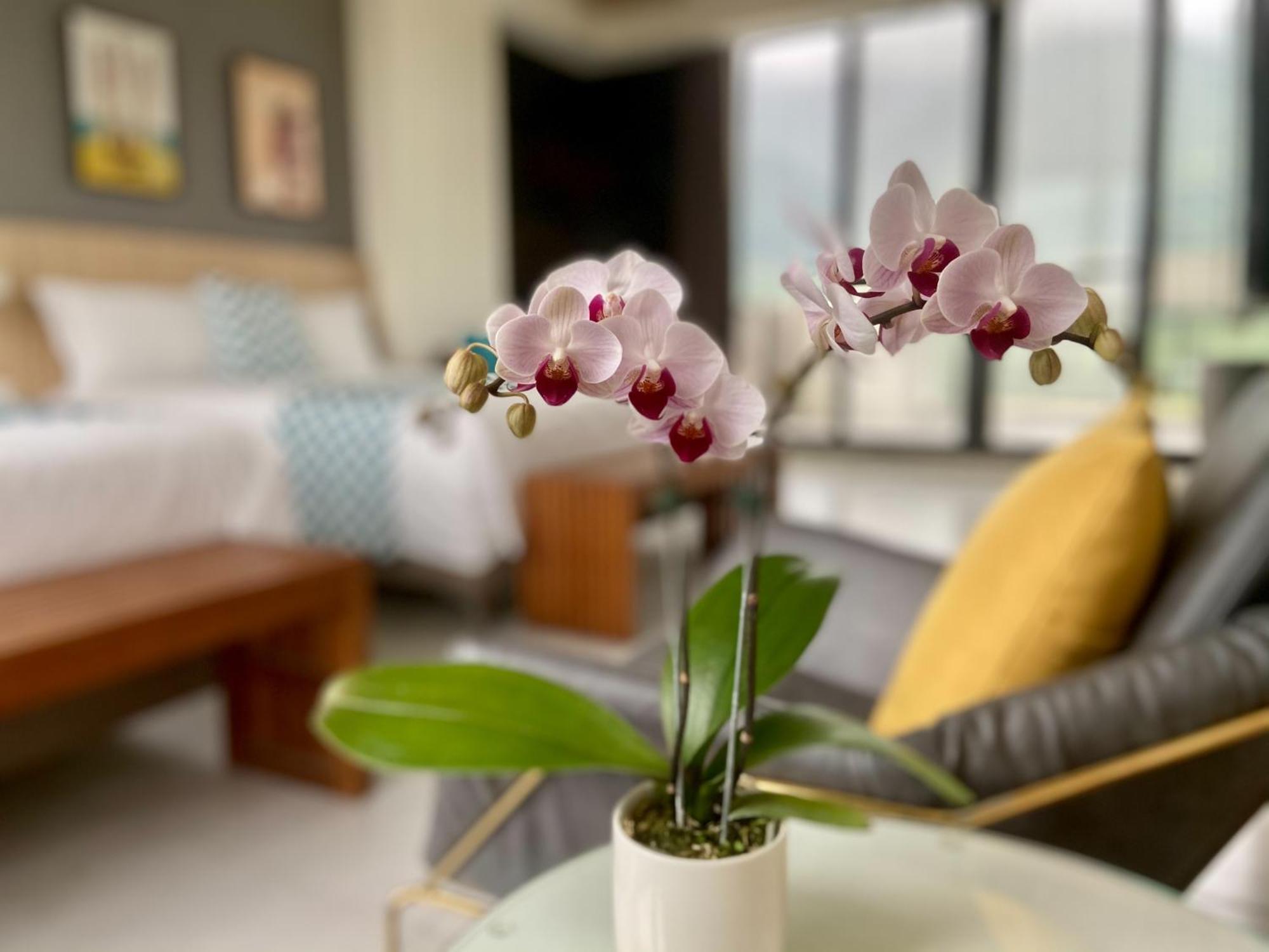 Follow The Cloud B&B Jialin Kamer foto